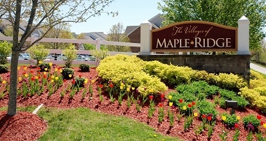 Best movers if you are moving from Maple Ridge