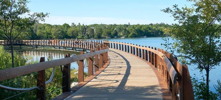 bridge on the lake